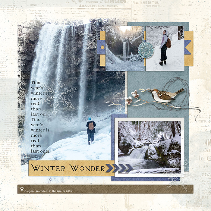 Winter Wonders