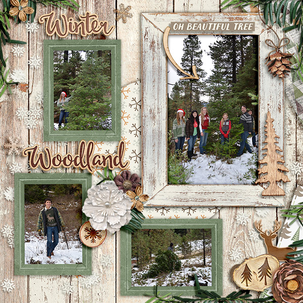 Winter Woodland
