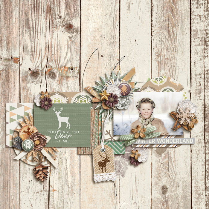 Winter Woodland