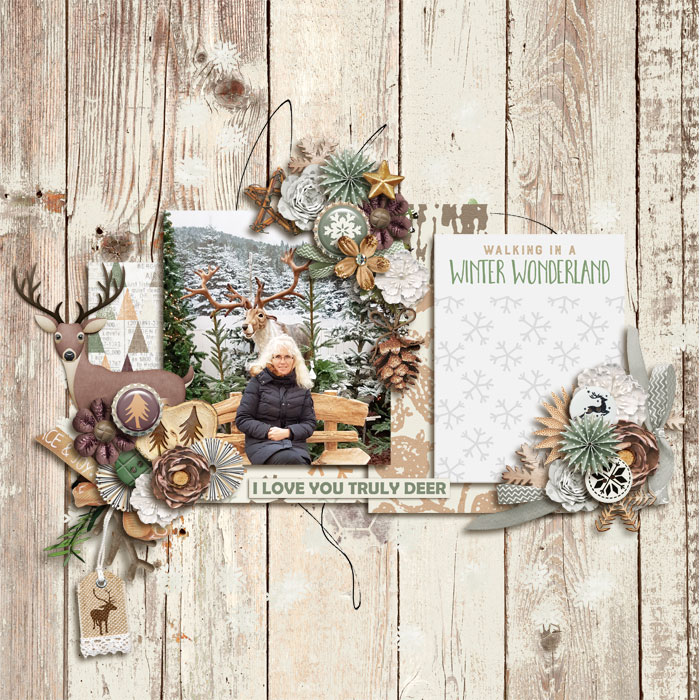 Winter Woodland
