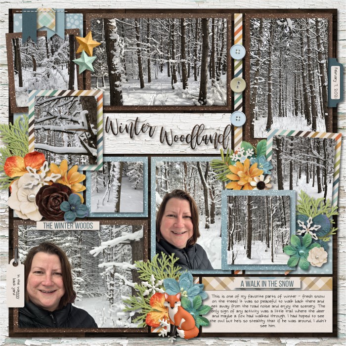 Winter Woodland