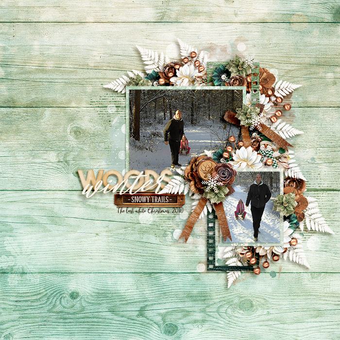 Winter Woods