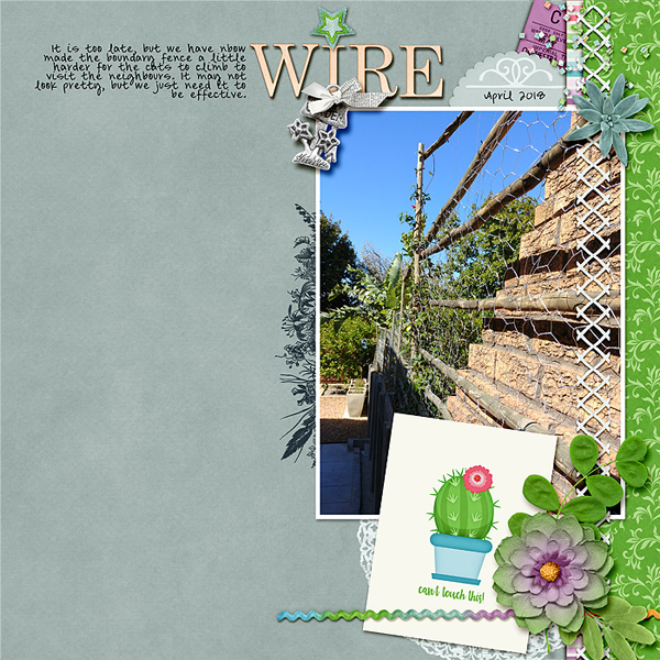 Wire Fence