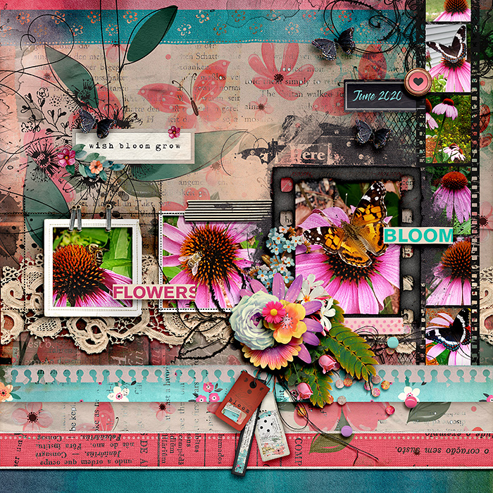 Wish Bloom Grow