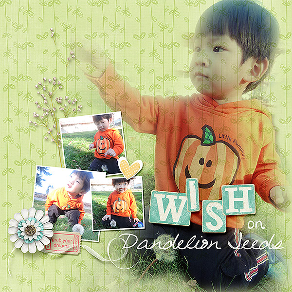 Wish on Dandelion Seeds