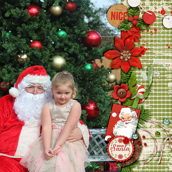 with santa