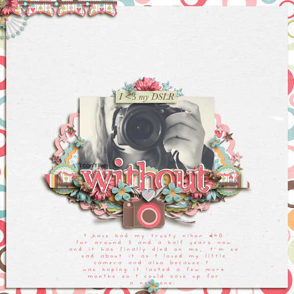Without My Camera