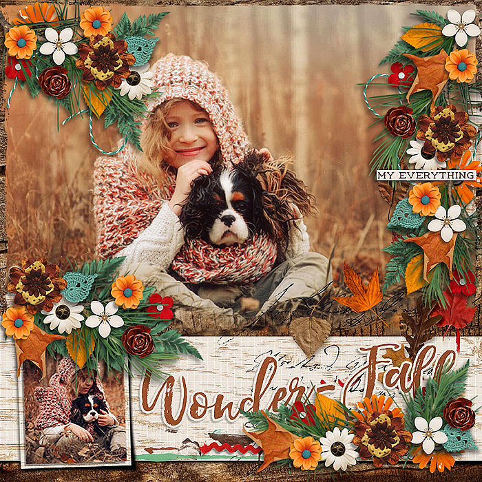 Wonder-Fall