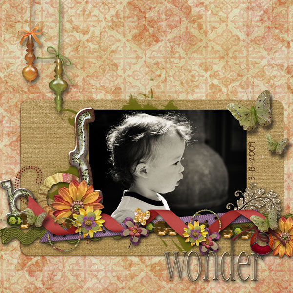 Wonder