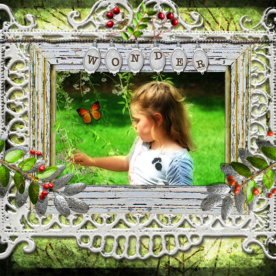 Wonder