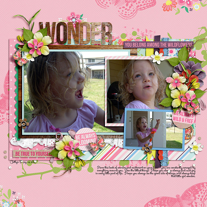 wonder
