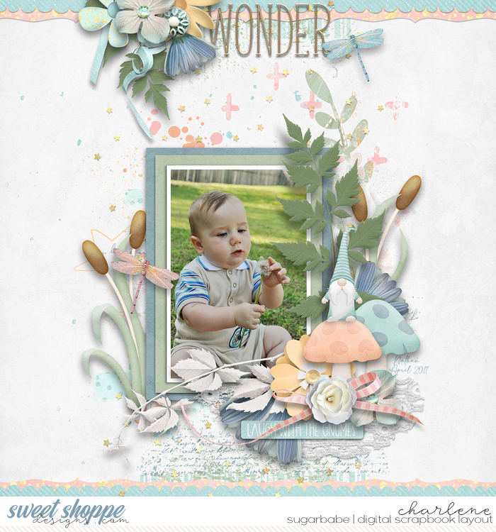 Wonder