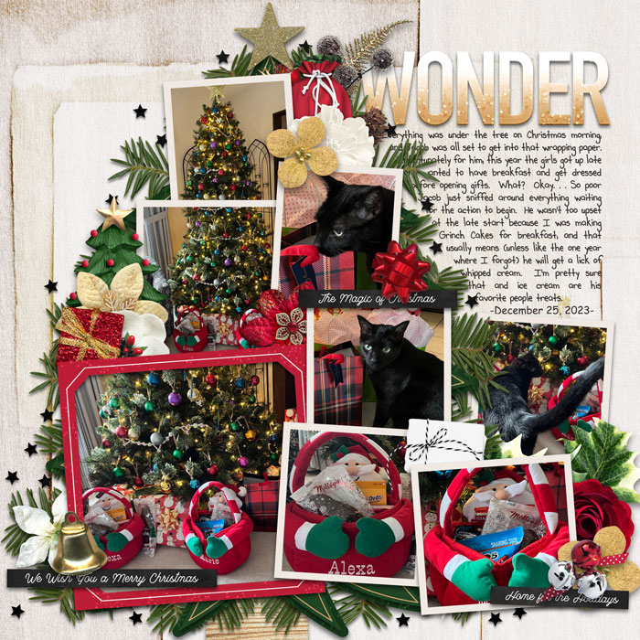 Wonder
