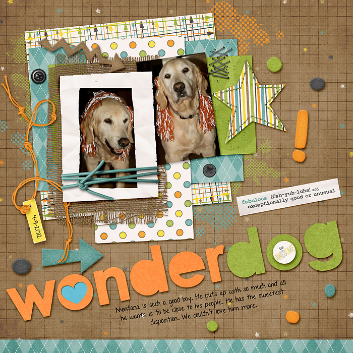 wonderdog