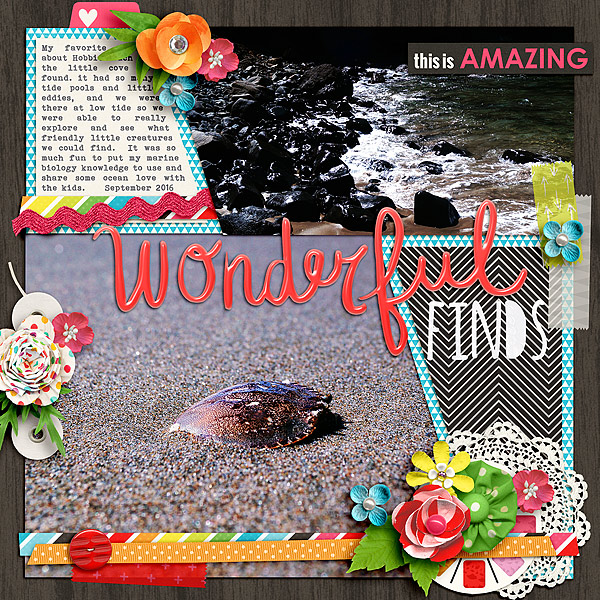 Wonderful Finds