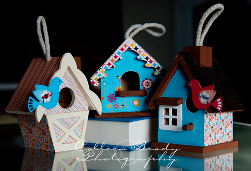 Wooden Bird Houses