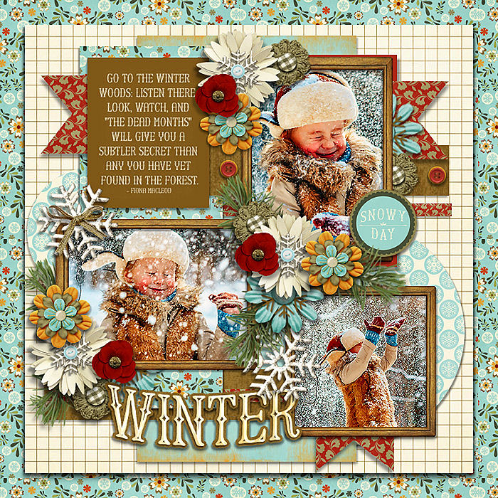 Woodland Winter