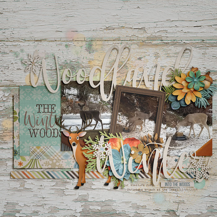 woodland winter