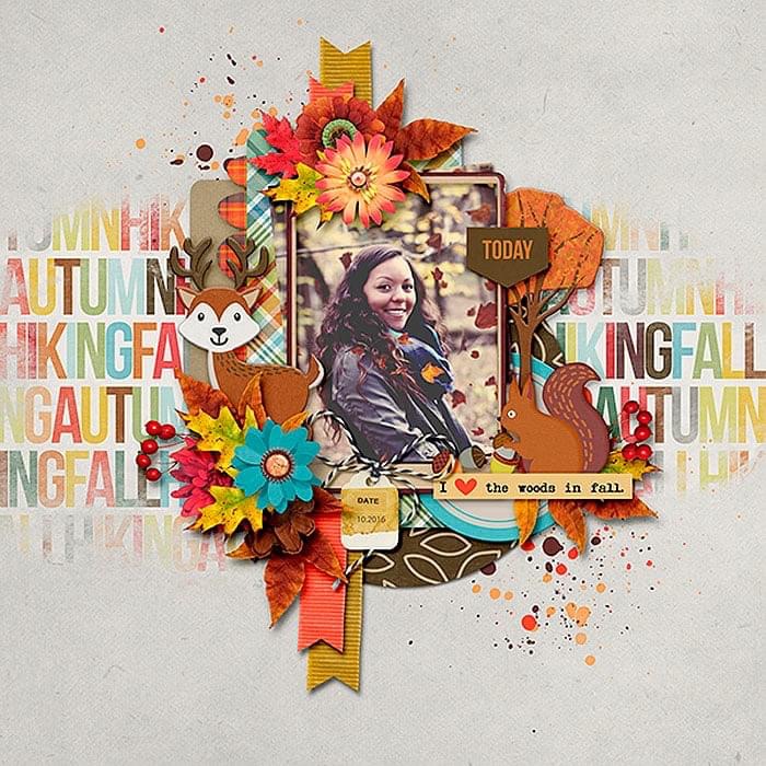 Woods in Fall