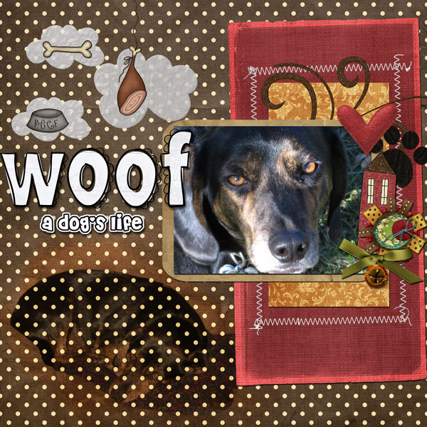 Woof - a dog's life