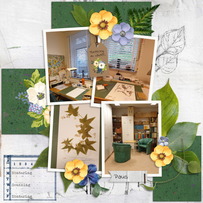 Workspaces left side