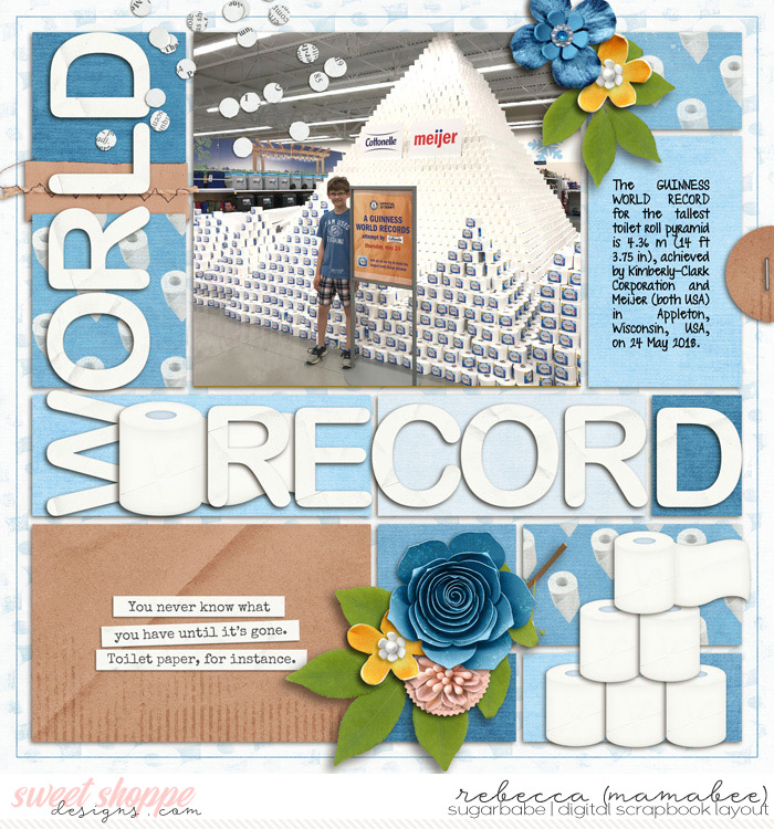 World Record