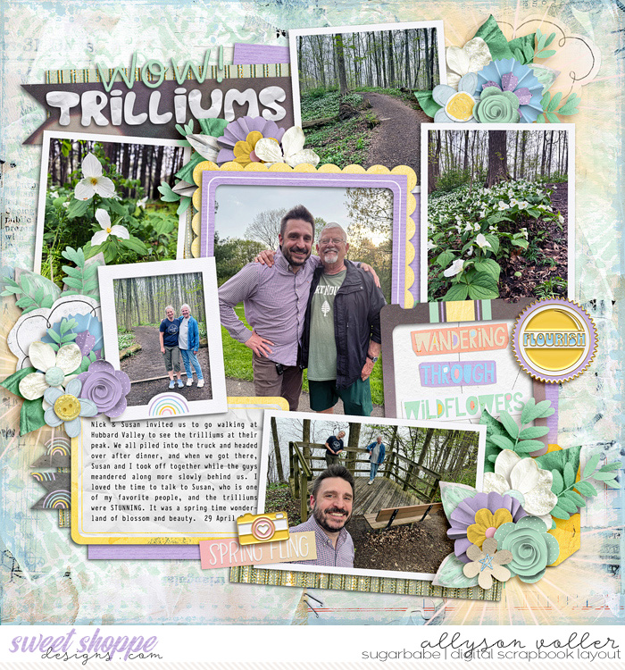 Wow Trilliums