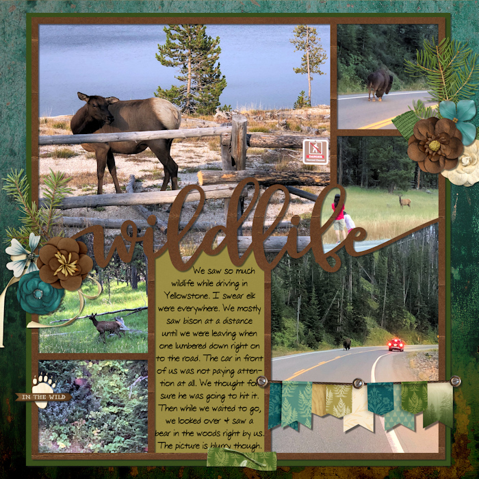 Wyoming Page 22