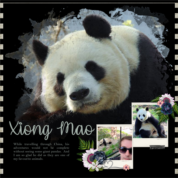 Xiong Mao