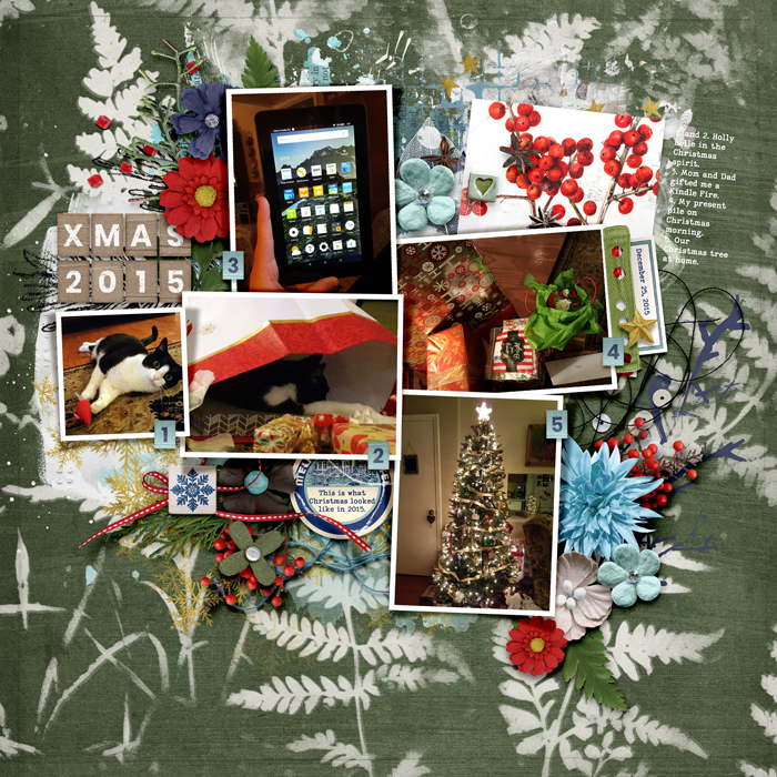 Xmas 2015