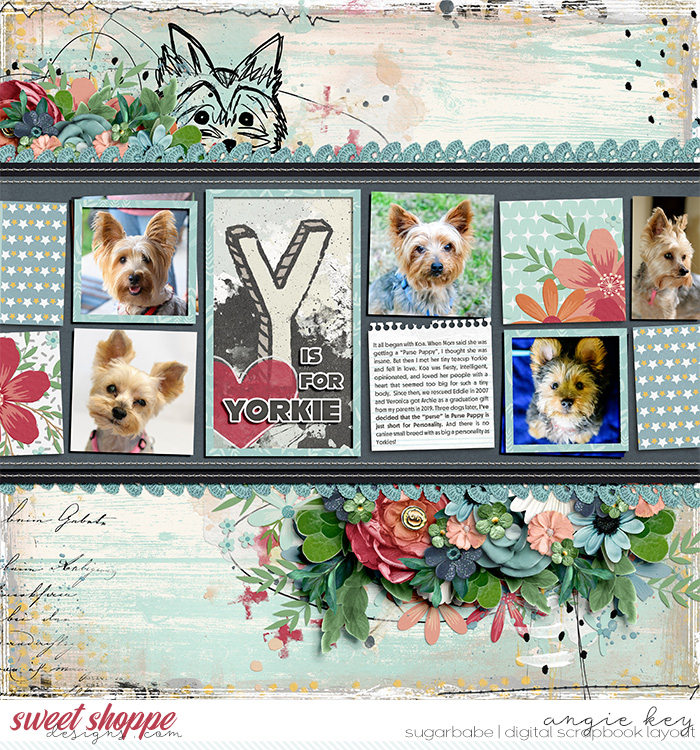 Y is for Yorkie