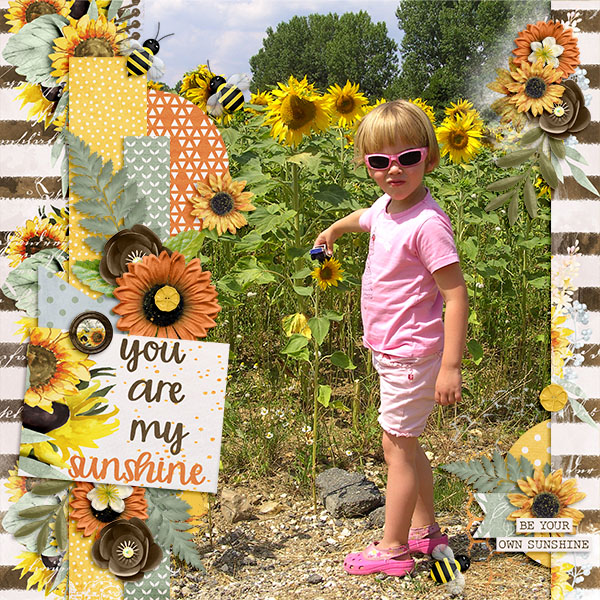 You Are My Sunshine