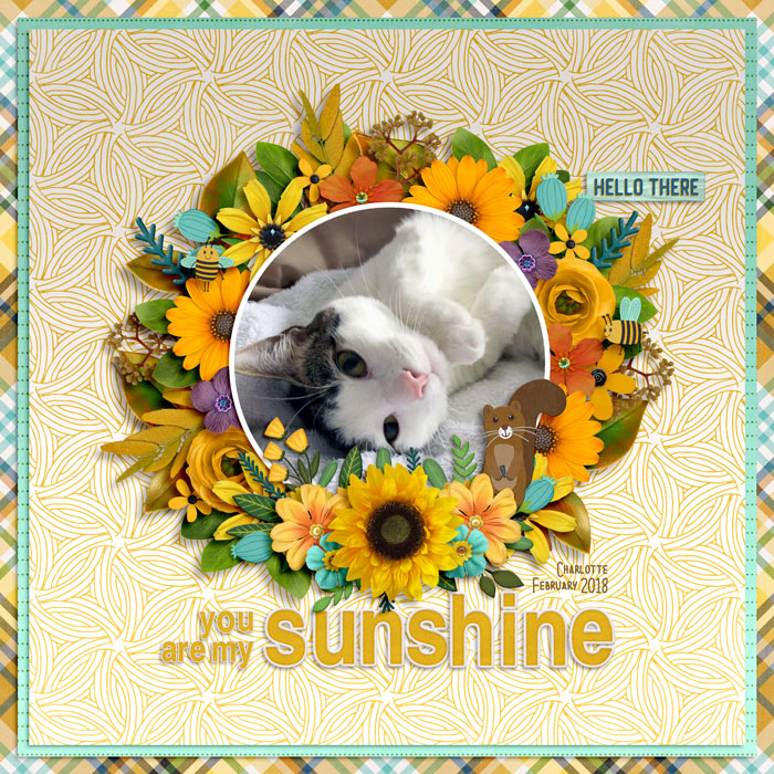 you are my sunshine