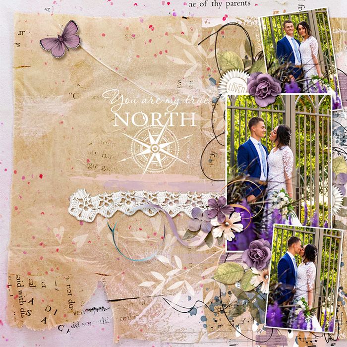 You Are My True North