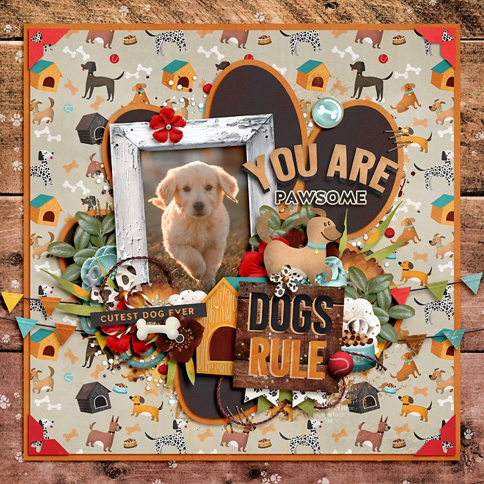 You Are Pawsome