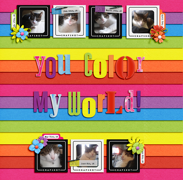 You color my world