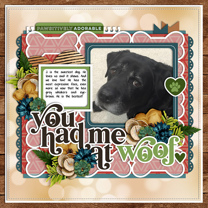 You Had Me At Woof