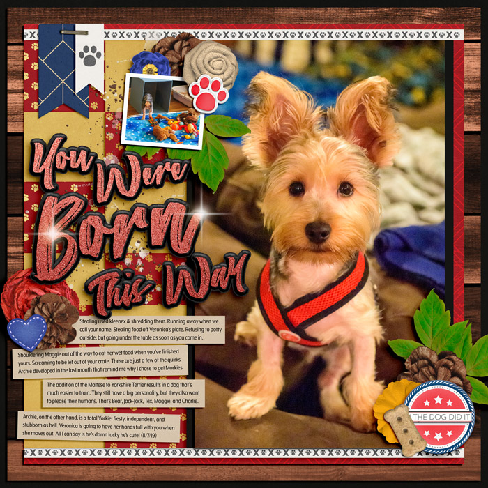 You Were Born This Way