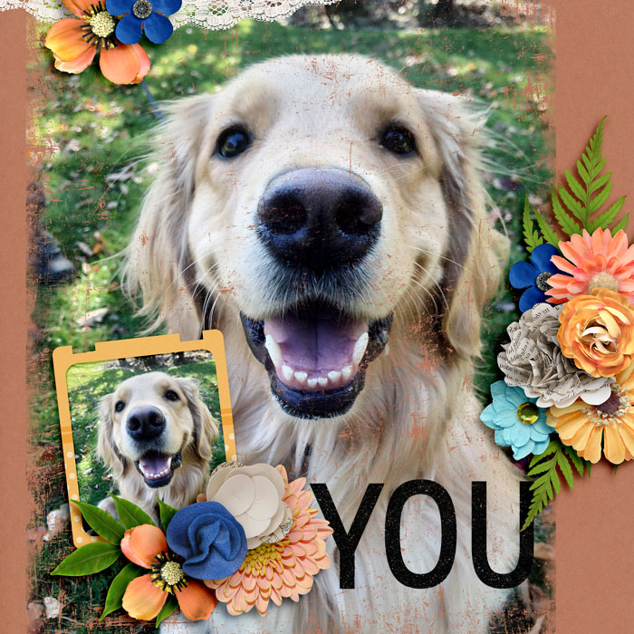 You