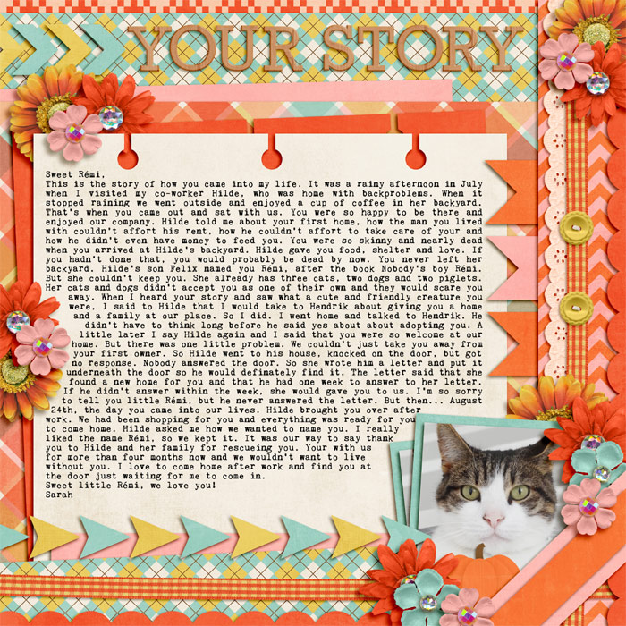 Your Story