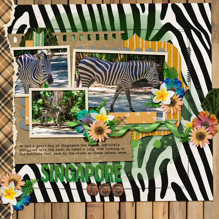 Zebras