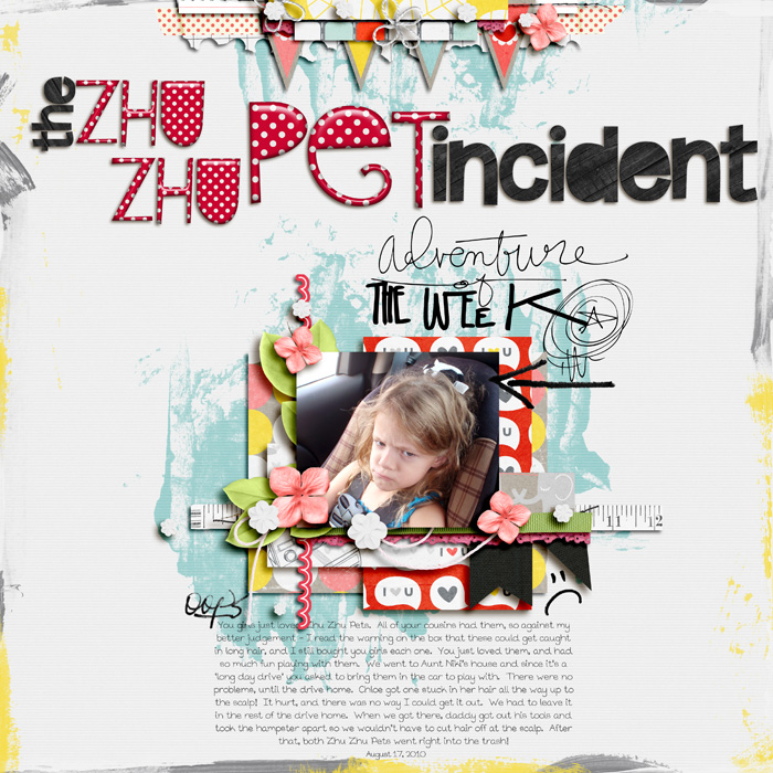 zhu zhu pet incident