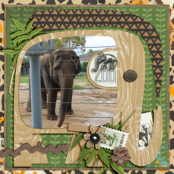 zoo 2017 2