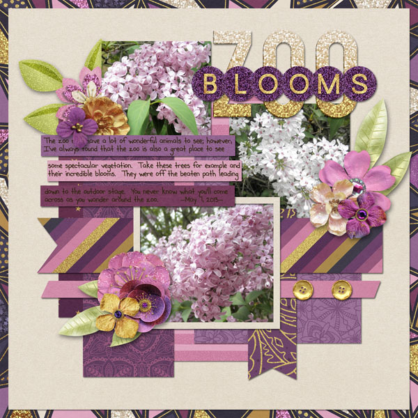 Zoo Blooms