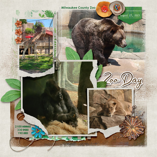 Zoo Day