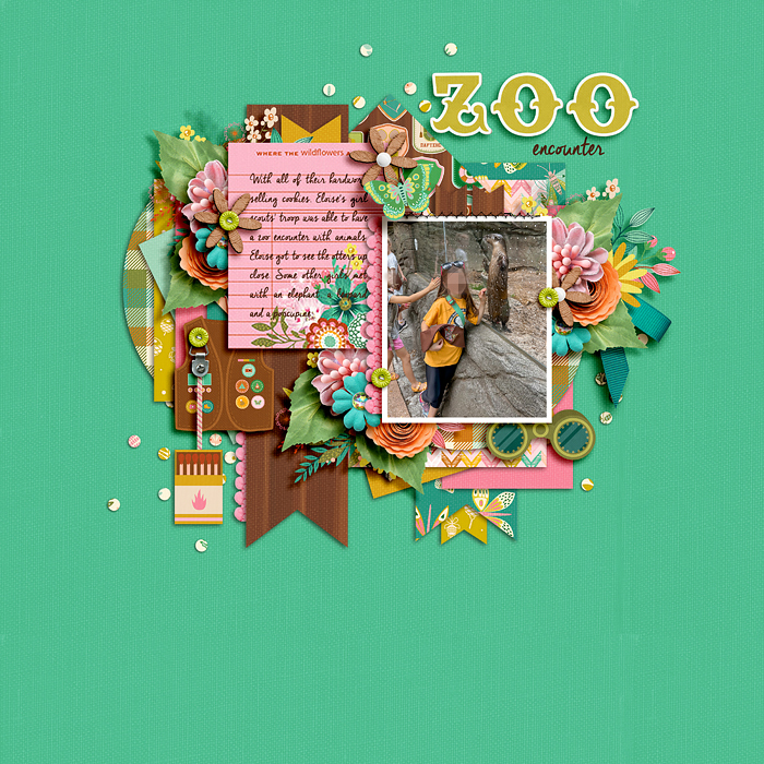 Zoo encounter