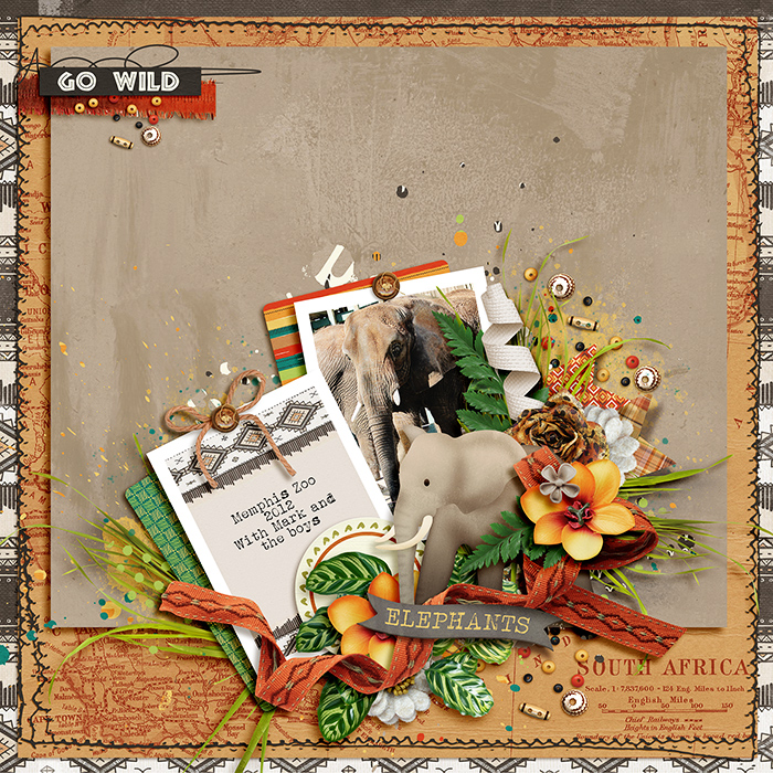 Zoo Life: Elephants