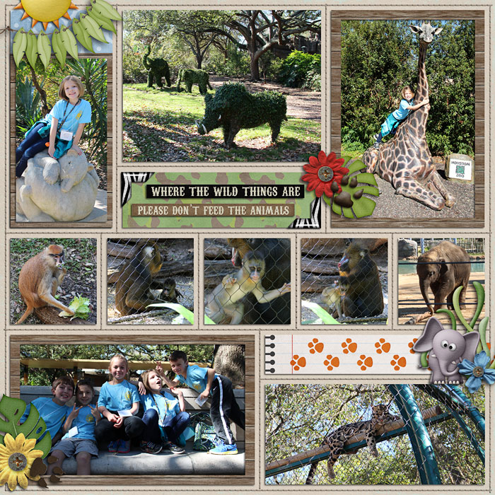 zoo trip