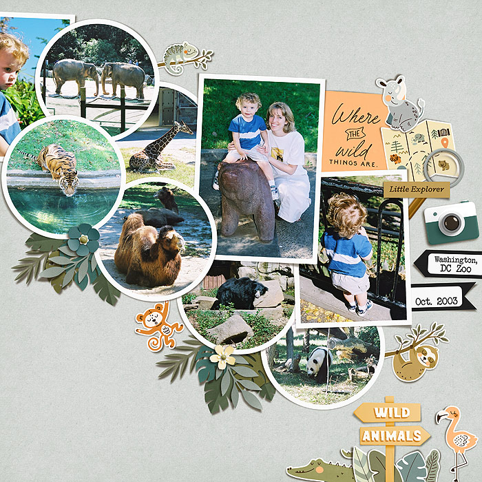 zoo