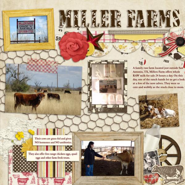 Miller Farms is just down the road from our house. I make a trip out there several times a month to get raw milk that I use in my new sustainable hobby...Cheese Making. I also have brought home farm fresh chicken eggs, quail eggs, cheese, ground beef, honey, eggnog, chocolate milk and most recently, Dublin Soda. On this last trip, I had asked one of the ranch hands if it was okay to take pictures of the cows and he just let us into the pen where Dave and I were face to face with the dairy cows. You can tell they are used to people since one of the cows (who had a few hour old calf next to it) came over to us. When I stuck out my hand for her to smell, she proceeded to lick it! She lost interest in us pretty quick so we took our pictures and left them in peace. It really was a cool experience to get up close to the ladies that produce the ingredients for our meals.

The kit used is Kiss My Grits by Traci Reed and Krystal Hartley
https://www.sweetshoppedesigns.com/sw...t=0&page=1